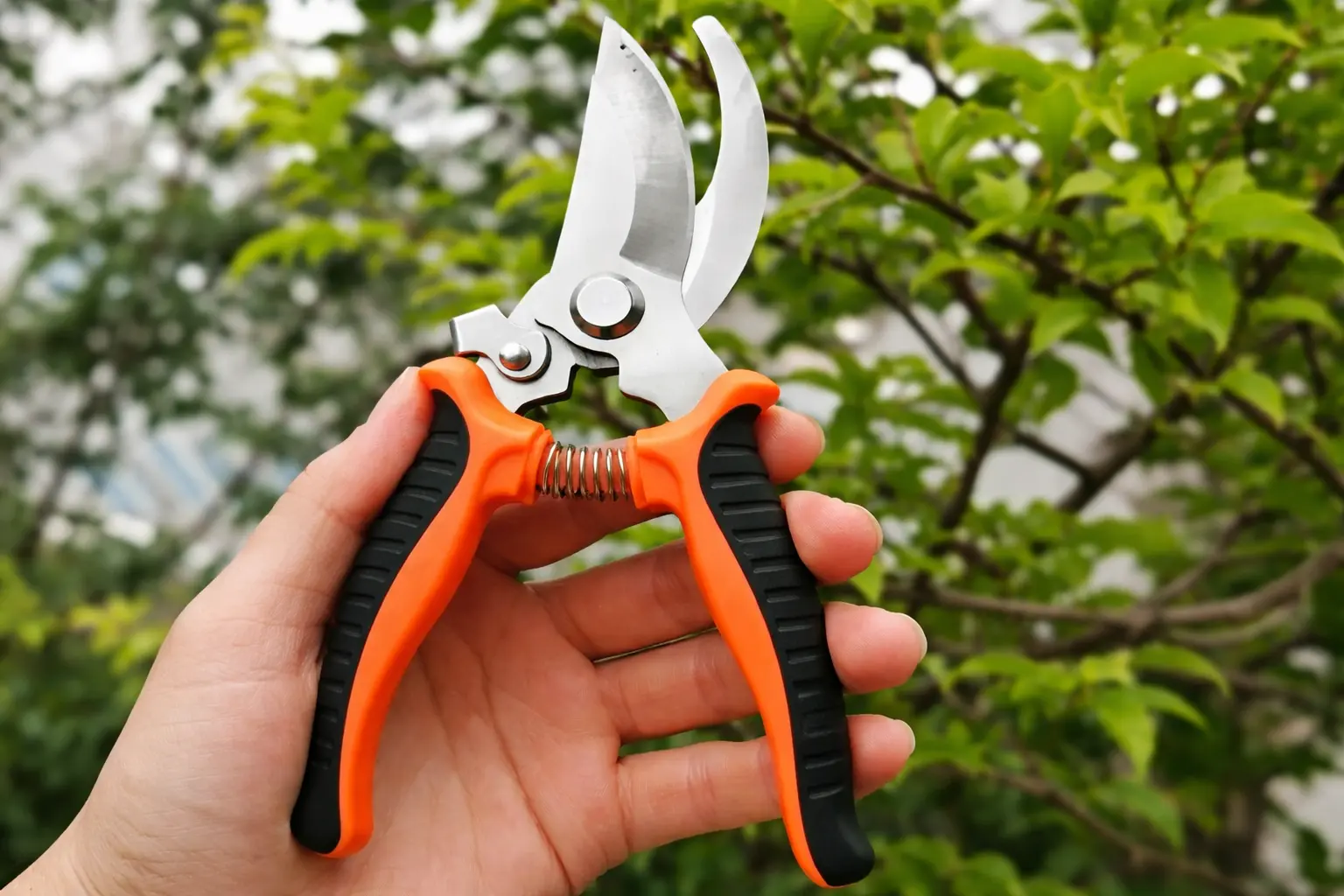 Bird Beak Pruner 